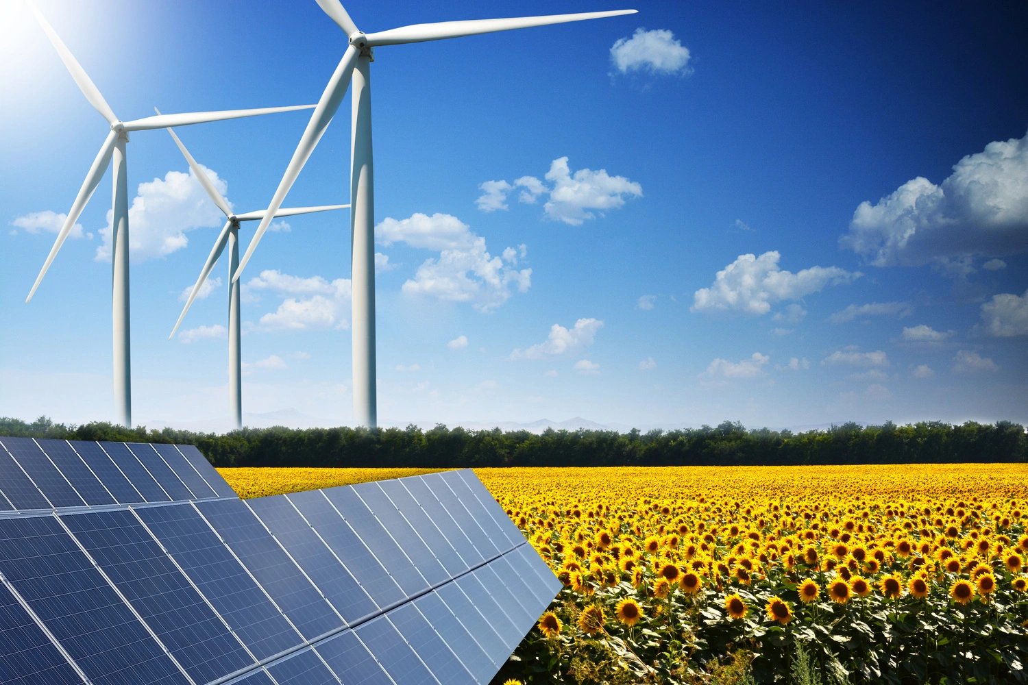 wind and solar farm