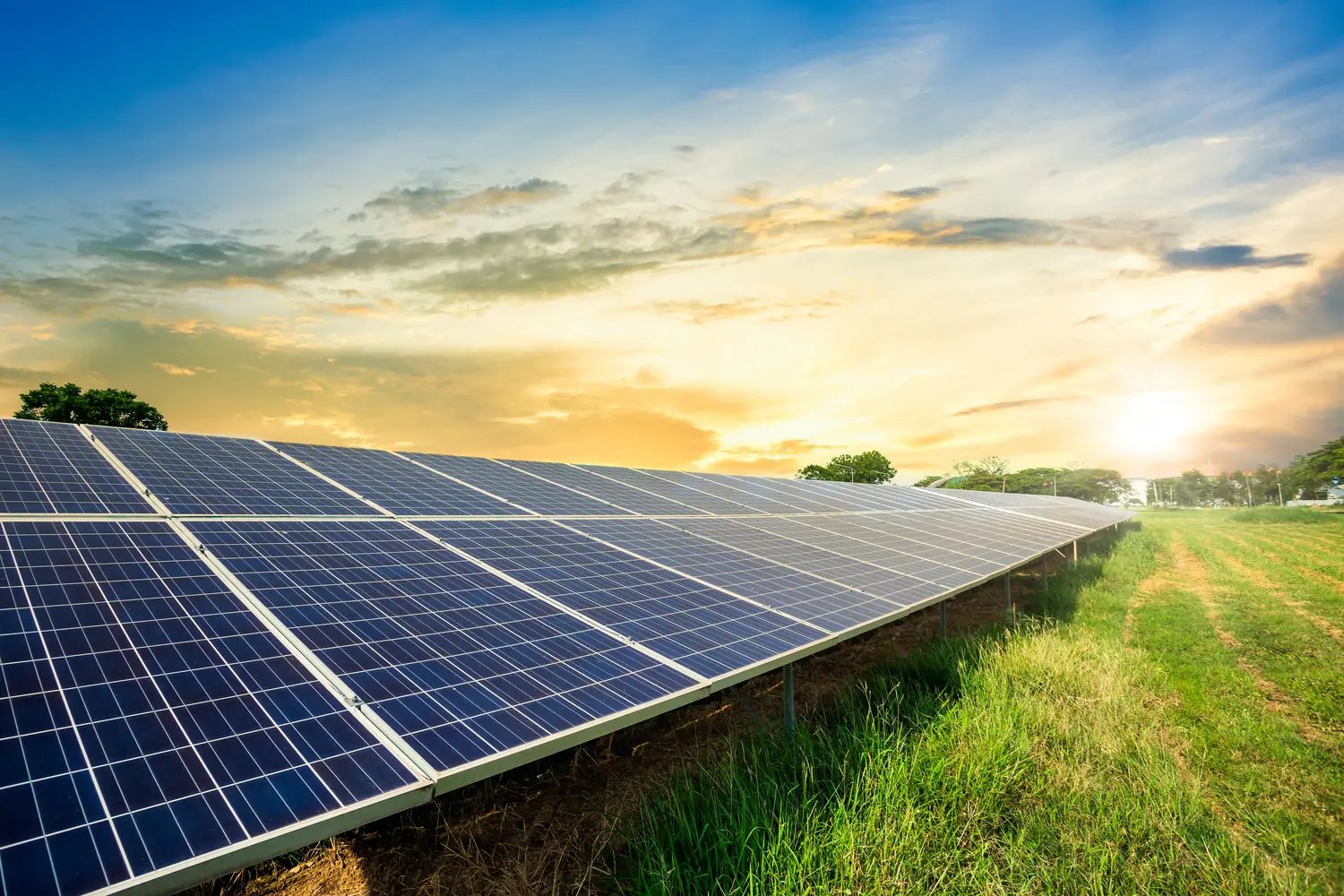 solar farm