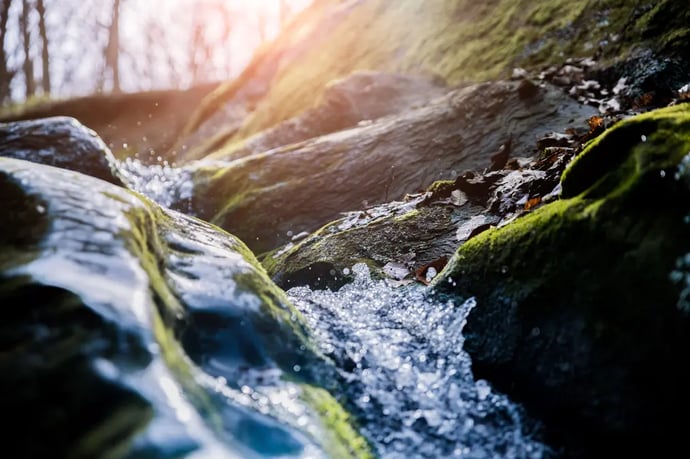Ephemeral Streams