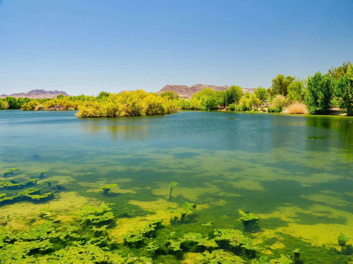 Floodplain Management