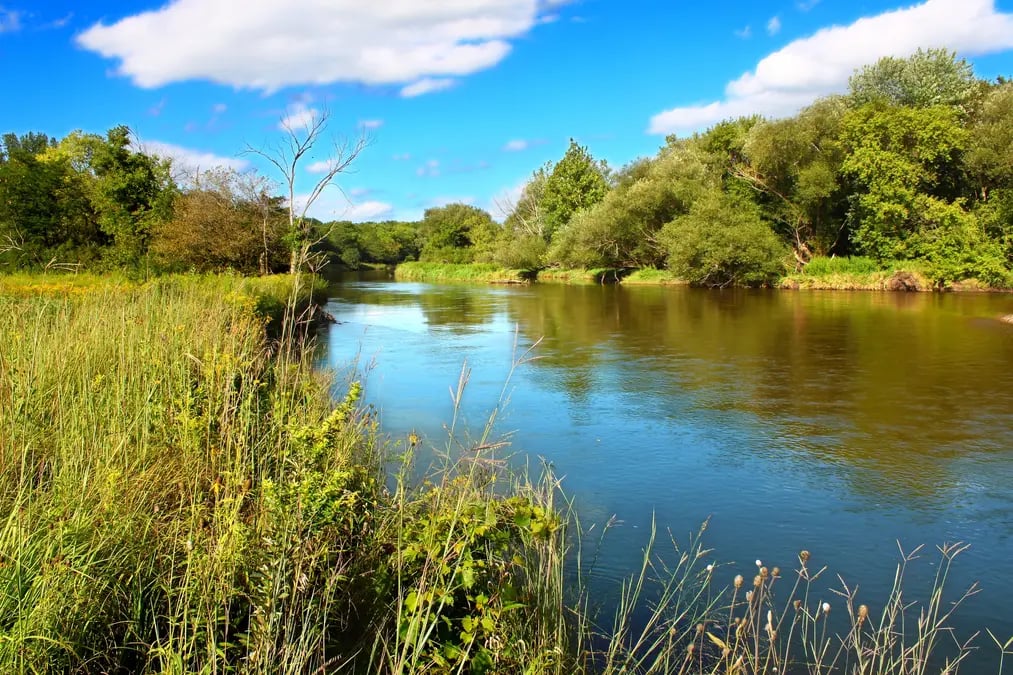 Illinois Waters and Wetlands (2023) | Transect