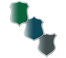 State-Local-Graphic-1