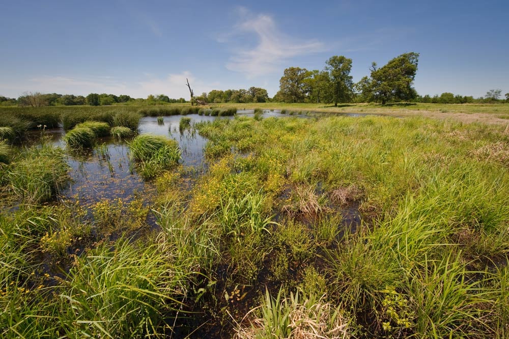 WRP_wetlands_restoration_and_John_Purviance,_soil_conservation_technician._(24816984600)