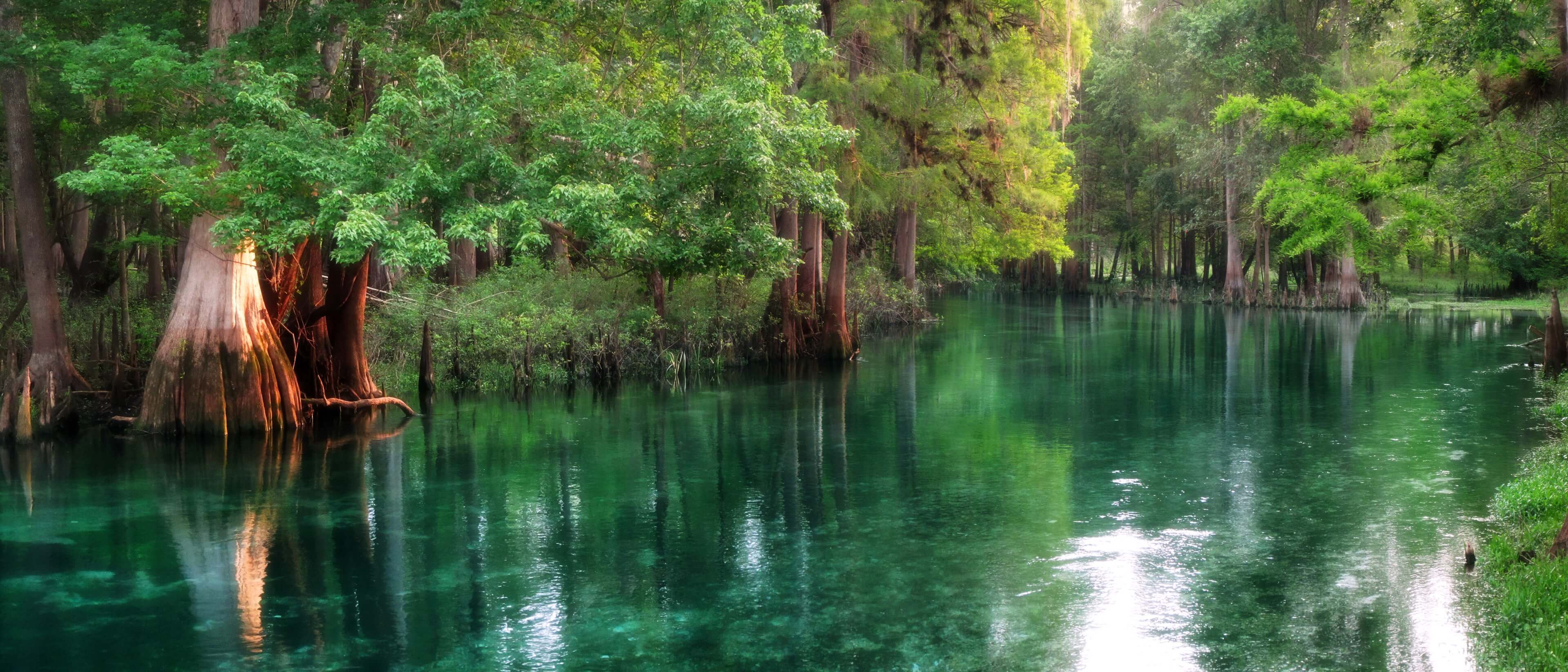 florida-wetlands-hero-banner