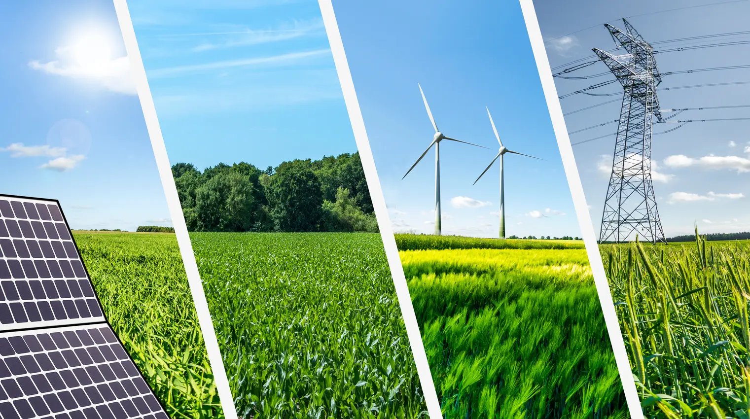 Renewable Energy Development