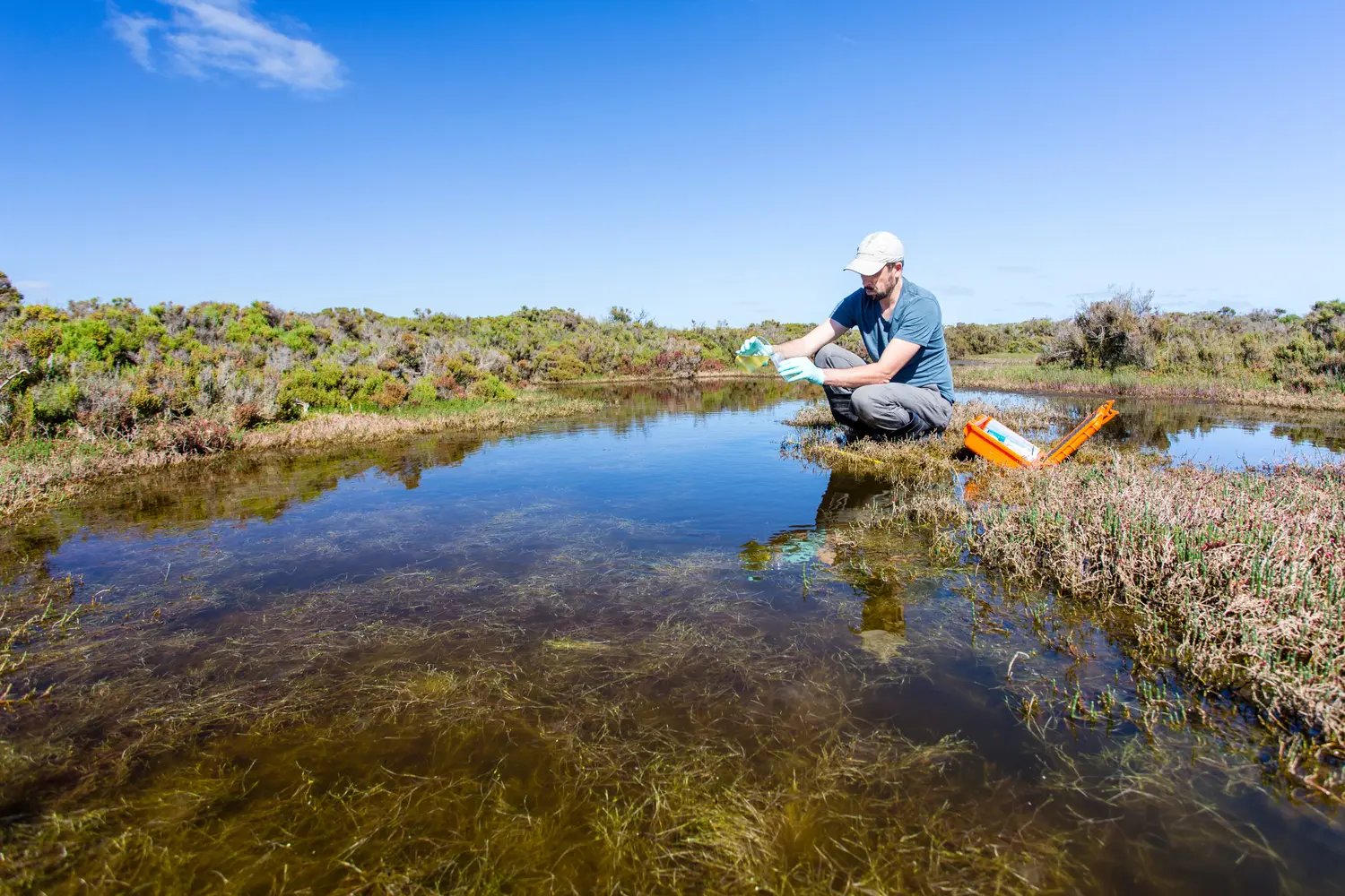 wetland specialist- AdobeStock_4