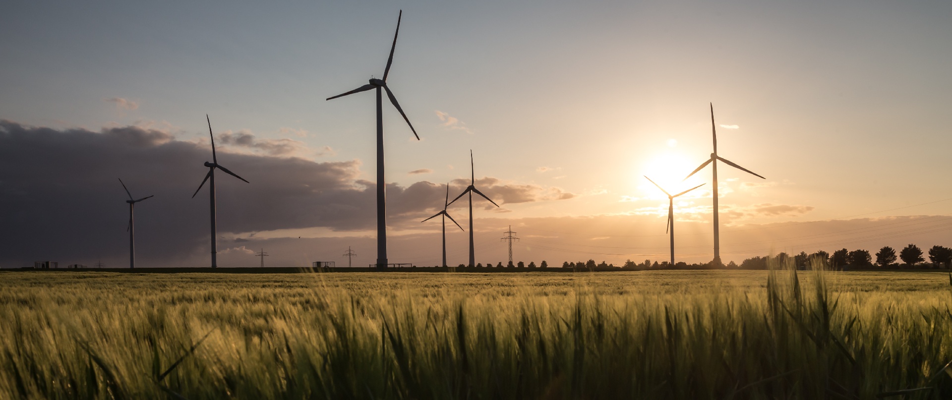 wind turbine farm sundown-1