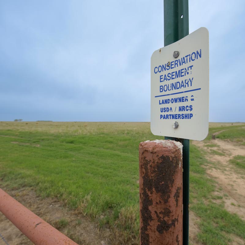 Conservation_Easement_Sign_on_fence_in_a_pasture_at_Anson,_Texas._(25017284261)